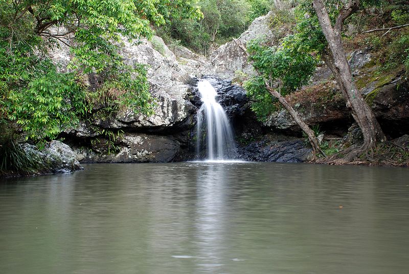 File:Sunshine Coast, Queensland - Kondalilla falls.jpg