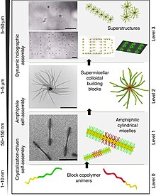 Supramolecular assembly of micelles.jpg