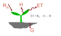 Thumbnail for version as of 22:37, 22 February 2015