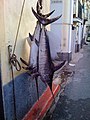 Two dead swordfish hanging from their tails