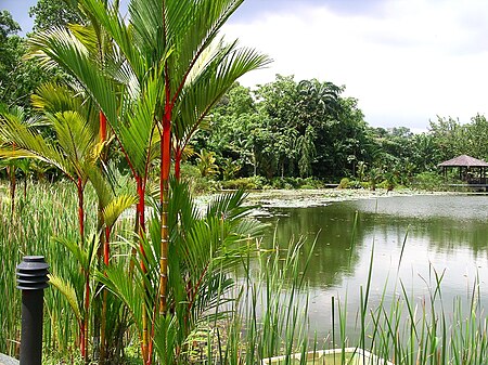 Kebun Bunga Singapura