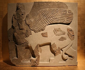 Fragment de lleó androcèfal alat, Tell Halaf. Museu de Pèrgam
