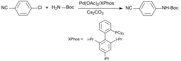 Amidation of 4-cyanochlorobenzene with tert-butyl carbamate (Buchwald-Hartwig coupling)