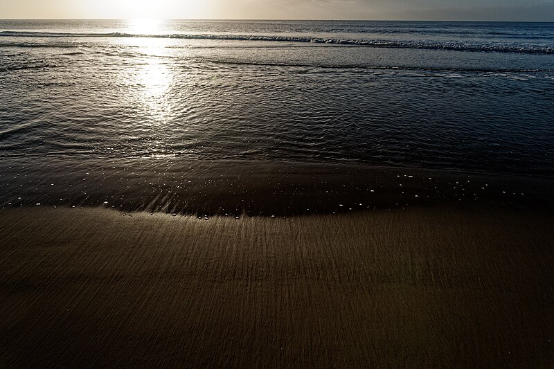 File:Texel - Beach at Paal 9 - 8 - View WSW in January II.jpg