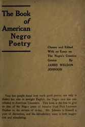 Review the poem, American-American (PDF), and in