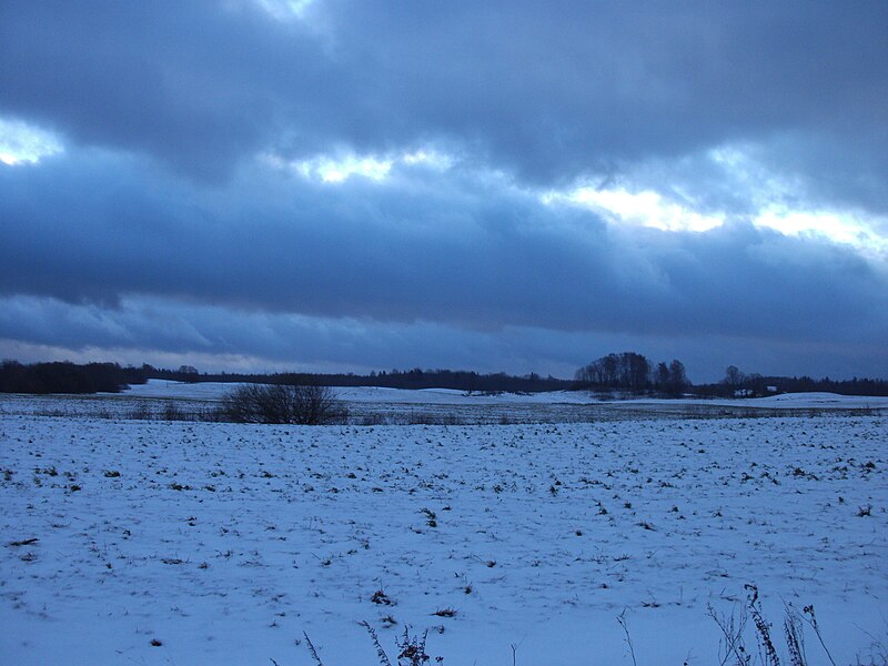 File:The first snow.jpg