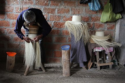 The toquilla straw hat is woven from fibres from a palm tree characteristic of the Ecuadorian coast. Cenovio is a master weaver, with over 70 years experience.
