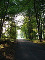 Two footpaths meet road - geograph.org.uk - 1458840.jpg