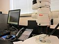 USFWS Computer and microscope in Abernathy genetics lab (16742116530).jpg