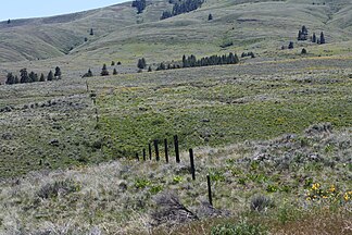 Blick vom Nordhang der Umtanum Ridge nach Süden