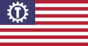 Flag of the United Socialist States