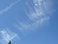 Cirrus vertebratus – oblaky připomínající "páteř"