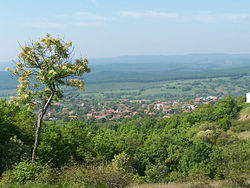 Панорамен изглед на село Веселие