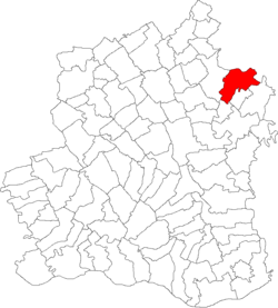 Location of Videle