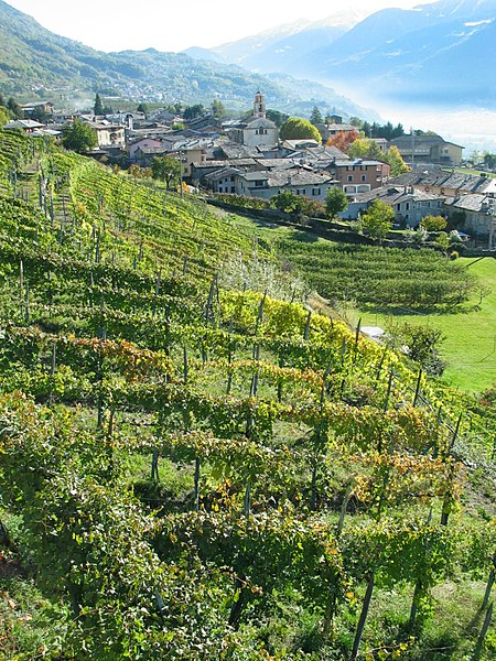 File:Vigna - panoramio.jpg