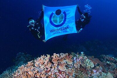 Bandera Wikimedia Indonesia wawu patihu to delomo deheto