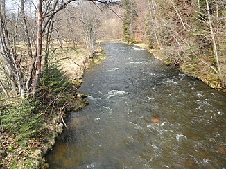 Der Große Regen an der Regenhütte bei Bayerisch Eisenstein