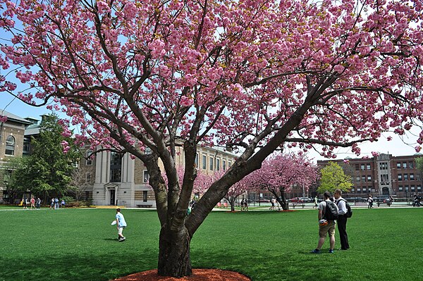 Wentworth's quad