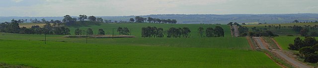 Wheat growing north-east of Northam