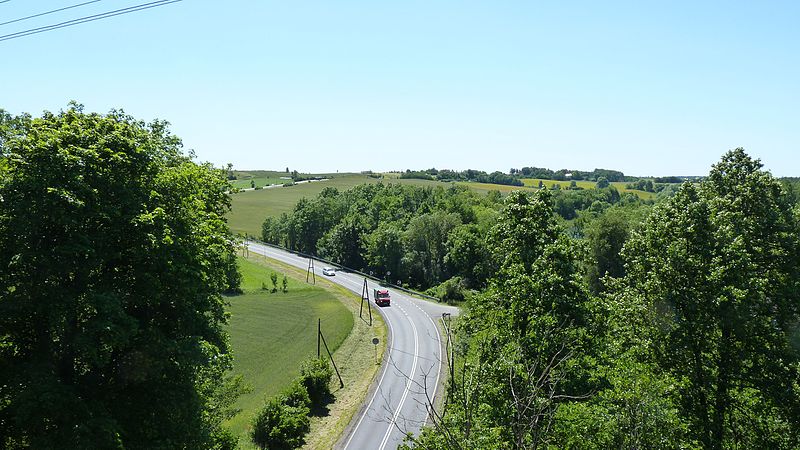 File:Widok z wiaduktu kolejowego droga nr 25 kierunek Bydgoszcz - panoramio.jpg