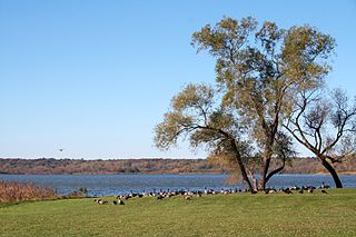 Lake Wingra lake of the United States of America