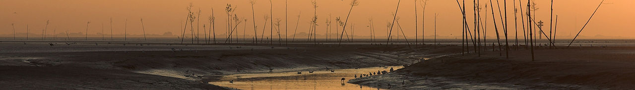 Wadden sea, Wremen