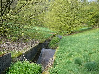 Auer Bach River in Germany