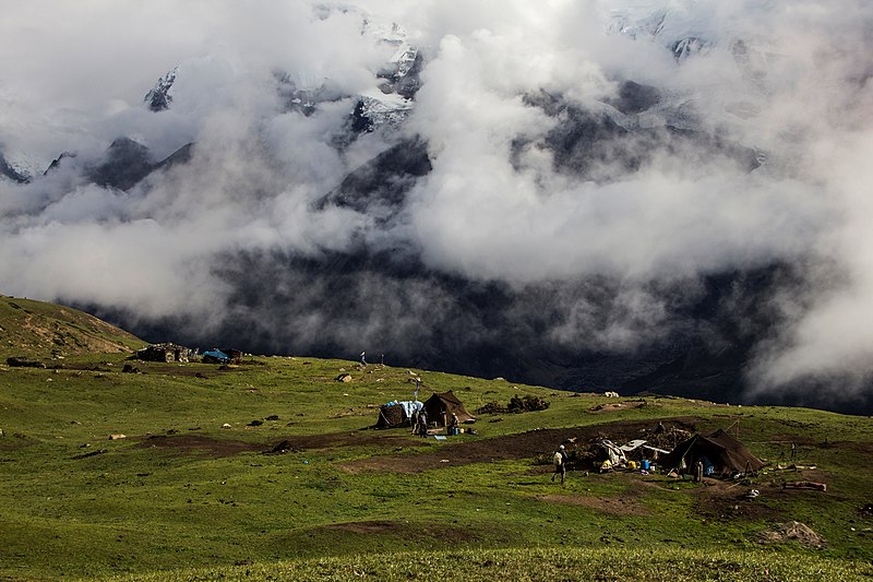 File:Yak Herds 1.jpg