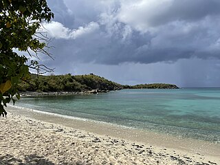 <span class="mw-page-title-main">Lameshur, U.S. Virgin Islands</span>