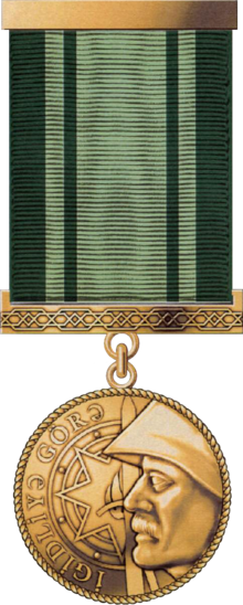 "İgidliyə görə" medalı.png