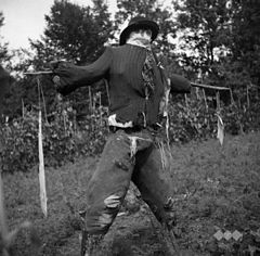 "Strašilo" ob koruzni njivi- "koruzni mož"- "koruznik", Male Kumpole 1950.jpg