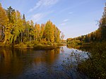 Вилегодский заказник