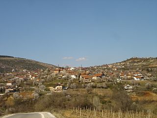 Поглед на селото Ракотинци