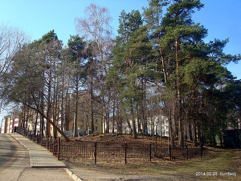 File:Старое кладбище деревни Середома - panoramio.jpg