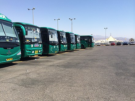 Egged buses lined up in Eilat