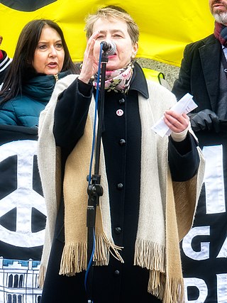 <span class="mw-page-title-main">Kate Hudson (activist)</span> British activist and academic (born 1958)