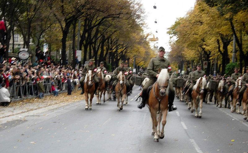 File:2005 Militärparade Wien Okt.26. 153 (4292727769).jpg