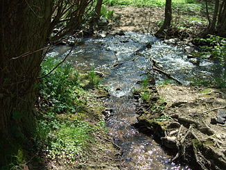 Einmündung in den Liederbach