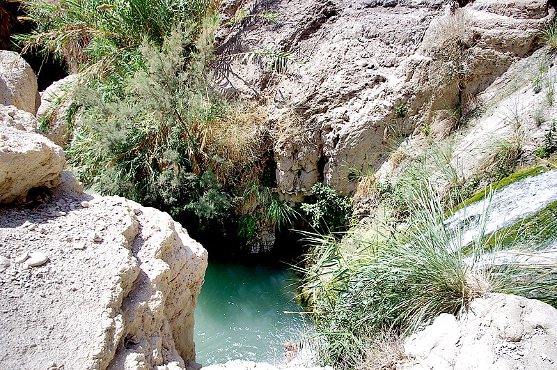 File:2010-06-18 09-07-31 Israel Ejn Gedi JH (52782476497).jpg