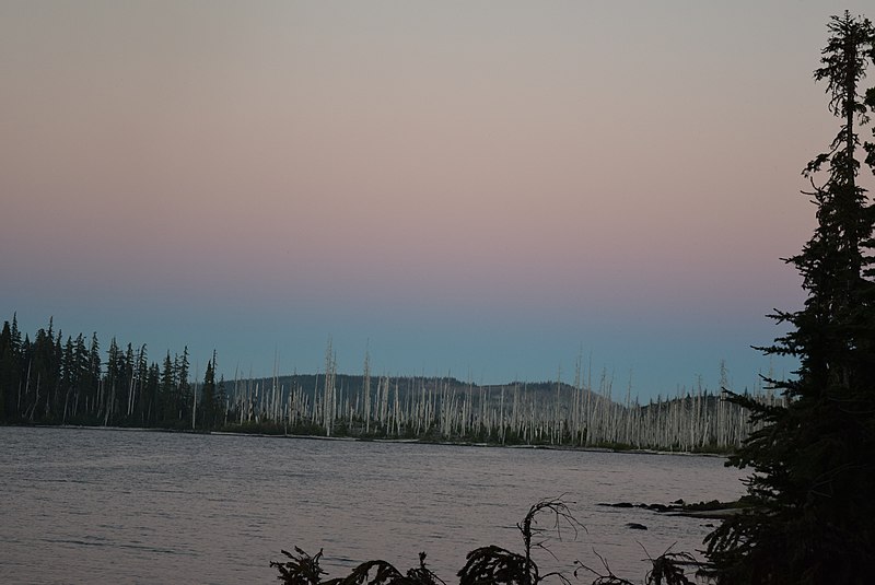 File:2016. Sunset and snags from an old fire. Taken from Peninsula Campground, Olallie Lake. Mt. Hood National Forest, Oregon. (26364726819).jpg