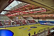 2017 Women's World Championship Qualification Europe - Phase 2 Play-Off. Bild zeigt: Sporthalle Alte Au des UHC Stockerau