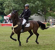 2018-05-20 Willem Greve auf Zypria S-8891.jpg