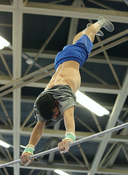 File:2019-05-24 Budapest Cup training horizontal bar (Martin Rulsch) 018.jpg