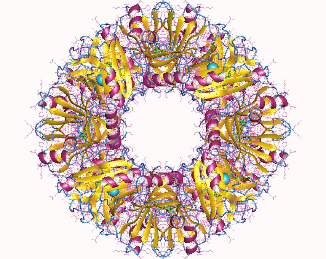 1,2-dihydroxynaphthalene dioxygenase