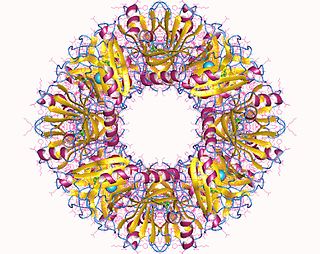 <span class="mw-page-title-main">1,2-dihydroxynaphthalene dioxygenase</span> Class of enzymes