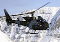 4 Regiment Army Air Corp Gazelle Helicopter MOD 45146026.jpg