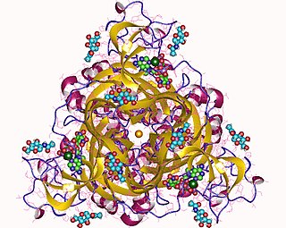 <span class="mw-page-title-main">P2RX3</span>