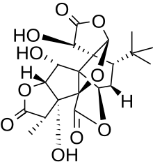 Chemical structure of gingkolide B ACSformatstructureofginkolideb.svg