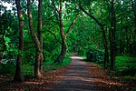 Thumbnail for Bhawal National Park