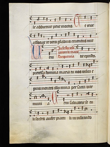 File:Aarau, Aargauer Kantonsbibliothek, MsMurFm 5, f. 182v – Graduale, pars de sanctis.JPG